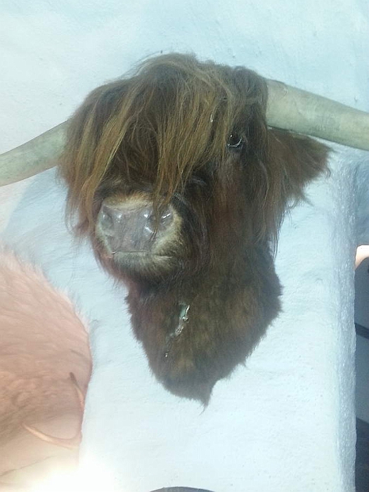 07- Dachstein, Bauernhaus, Abreise 064